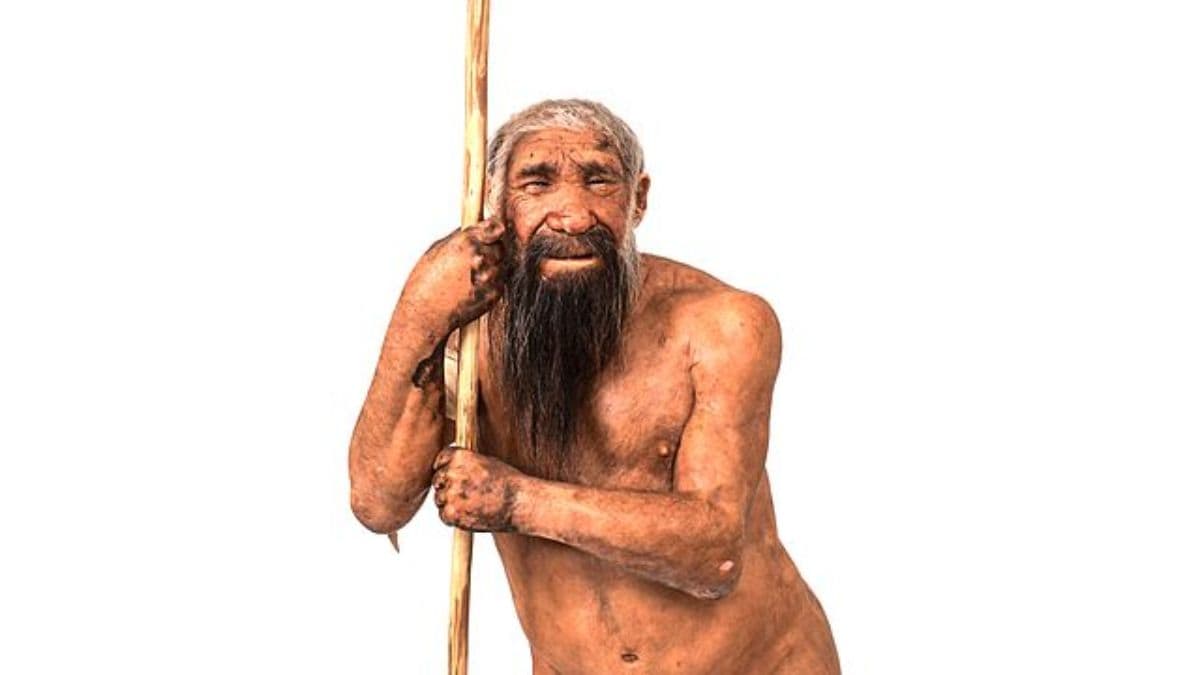 110,000 साल पहले निएंडरथल जेनेटिक बॉटलनेक उनकी गिरावट की व्याख्या कर सकता है